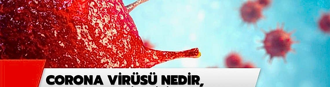 Corana Virüs Nedir ?